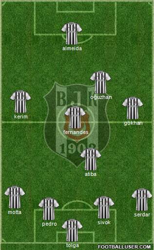 Besiktas JK Formation 2013