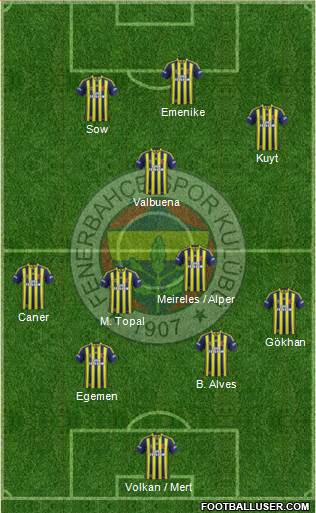 Fenerbahçe SK Formation 2013