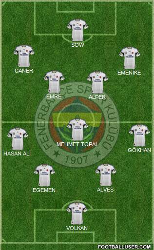 Fenerbahçe SK Formation 2013