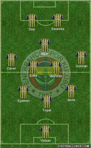 Fenerbahçe SK Formation 2013