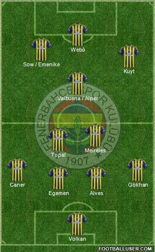 Fenerbahçe SK Formation 2013
