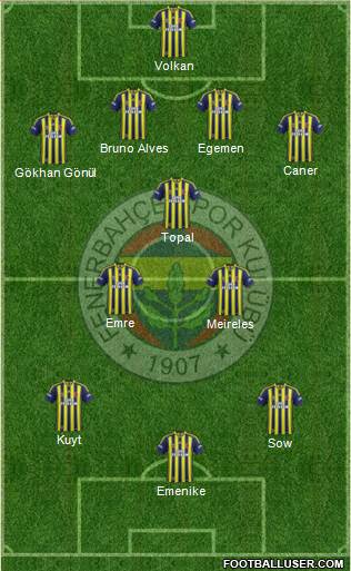 Fenerbahçe SK Formation 2013