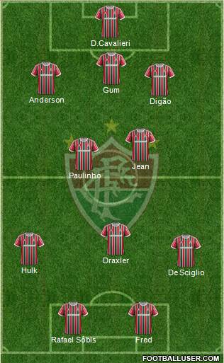 Fluminense FC Formation 2013