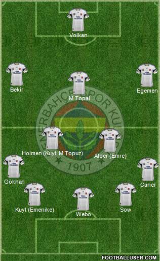 Fenerbahçe SK Formation 2013