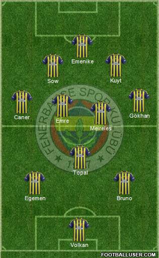 Fenerbahçe SK Formation 2013
