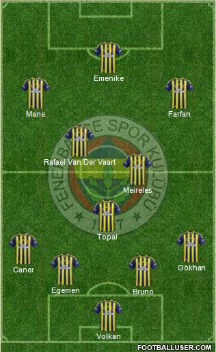 Fenerbahçe SK Formation 2013