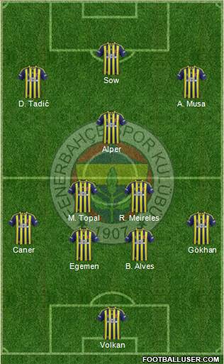 Fenerbahçe SK Formation 2013