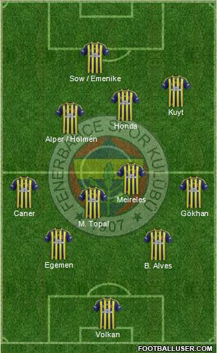 Fenerbahçe SK Formation 2013