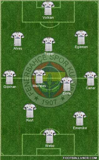 Fenerbahçe SK Formation 2013