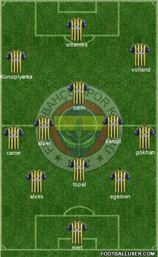 Fenerbahçe SK Formation 2013