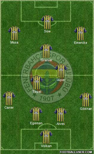 Fenerbahçe SK Formation 2013