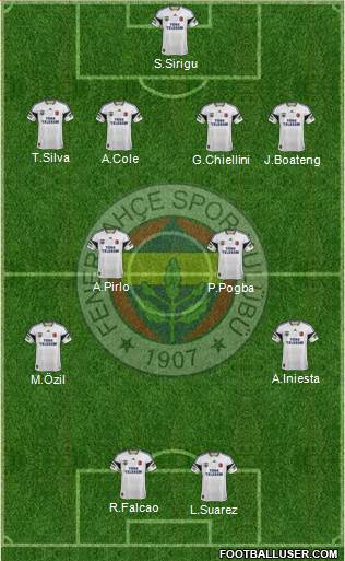 Fenerbahçe SK Formation 2013