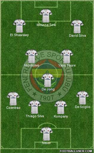 Fenerbahçe SK Formation 2013