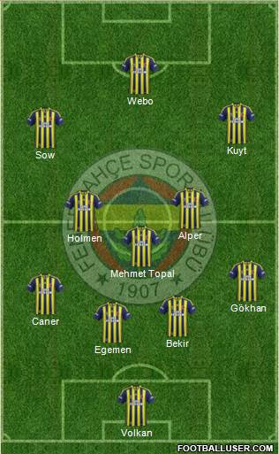 Fenerbahçe SK Formation 2013