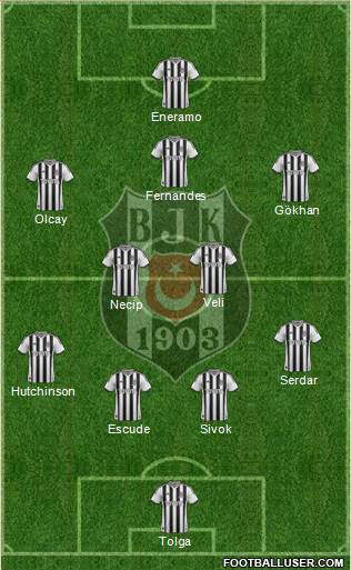 Besiktas JK Formation 2013