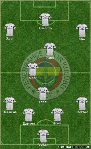 Fenerbahçe SK Formation 2013
