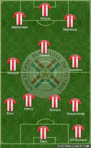 Paraguay Formation 2013