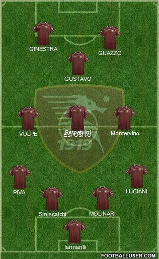 Salernitana Formation 2013