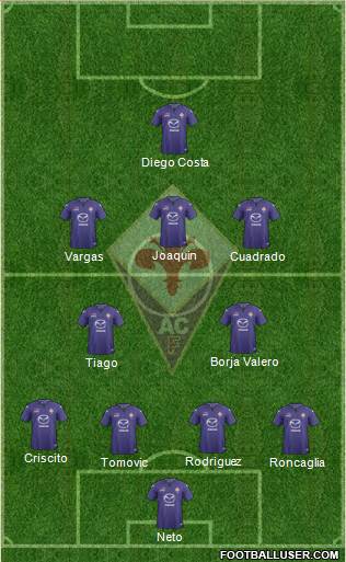 Fiorentina Formation 2013