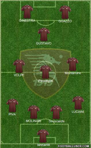 Salernitana Formation 2013