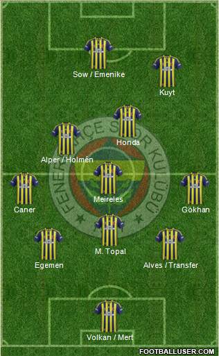 Fenerbahçe SK Formation 2013