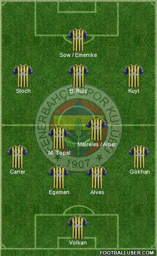 Fenerbahçe SK Formation 2013