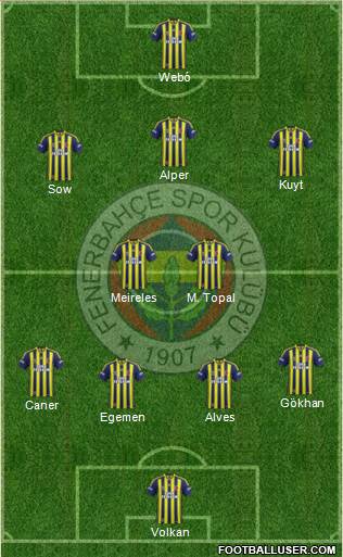 Fenerbahçe SK Formation 2013
