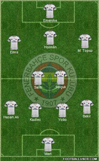 Fenerbahçe SK Formation 2013
