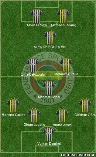 Fenerbahçe SK Formation 2013