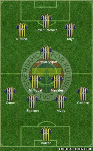 Fenerbahçe SK Formation 2013