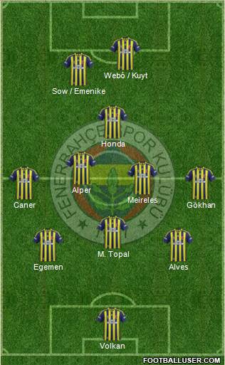Fenerbahçe SK Formation 2013