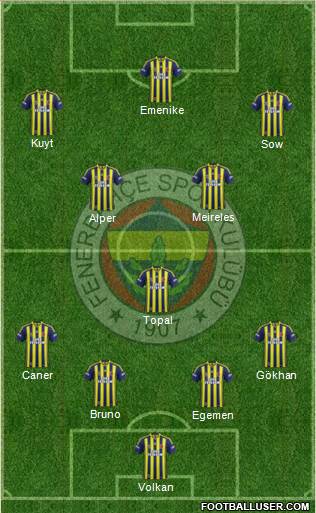 Fenerbahçe SK Formation 2013