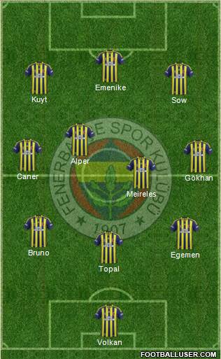 Fenerbahçe SK Formation 2013