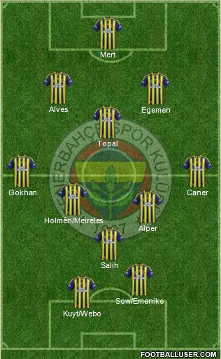 Fenerbahçe SK Formation 2013