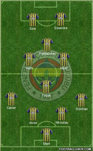 Fenerbahçe SK Formation 2013