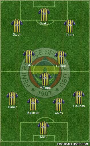 Fenerbahçe SK Formation 2013