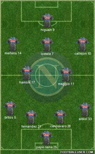 Napoli Formation 2013
