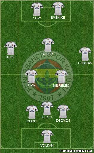 Fenerbahçe SK Formation 2013