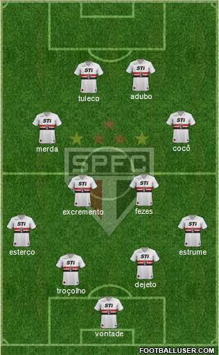 São Paulo FC Formation 2013