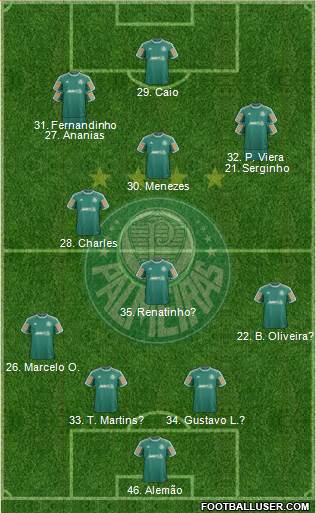 SE Palmeiras Formation 2013