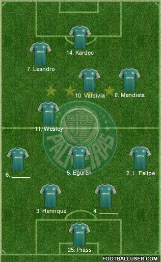 SE Palmeiras Formation 2013