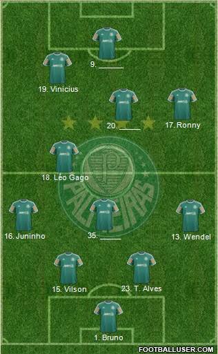 SE Palmeiras Formation 2013