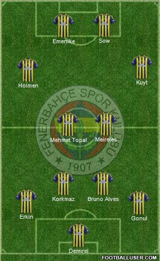 Fenerbahçe SK Formation 2013