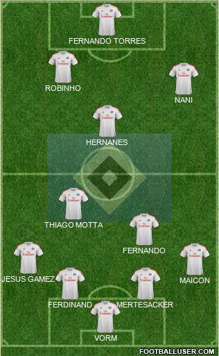 Hamburger SV Formation 2013