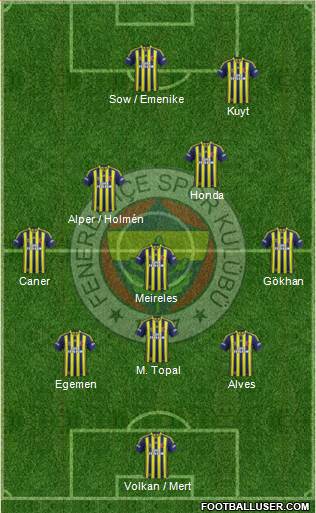 Fenerbahçe SK Formation 2013