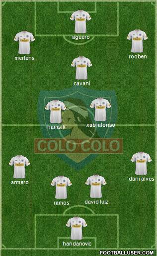 CSD Colo Colo Formation 2013