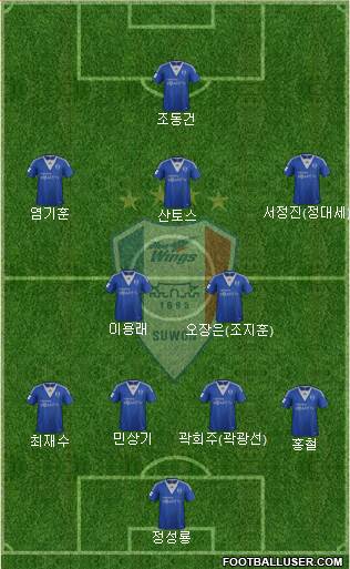 Suwon Samsung Blue Wings Formation 2013