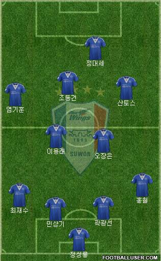 Suwon Samsung Blue Wings Formation 2013