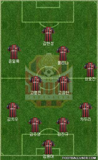 FC Seoul Formation 2013