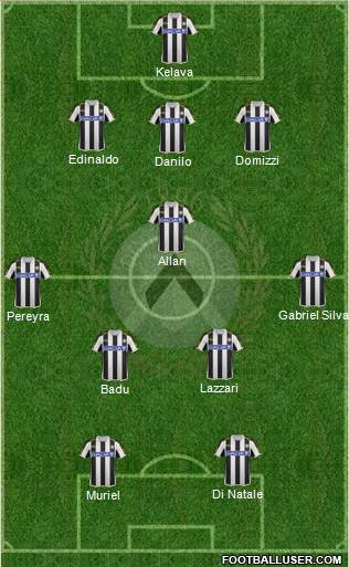 Udinese Formation 2013